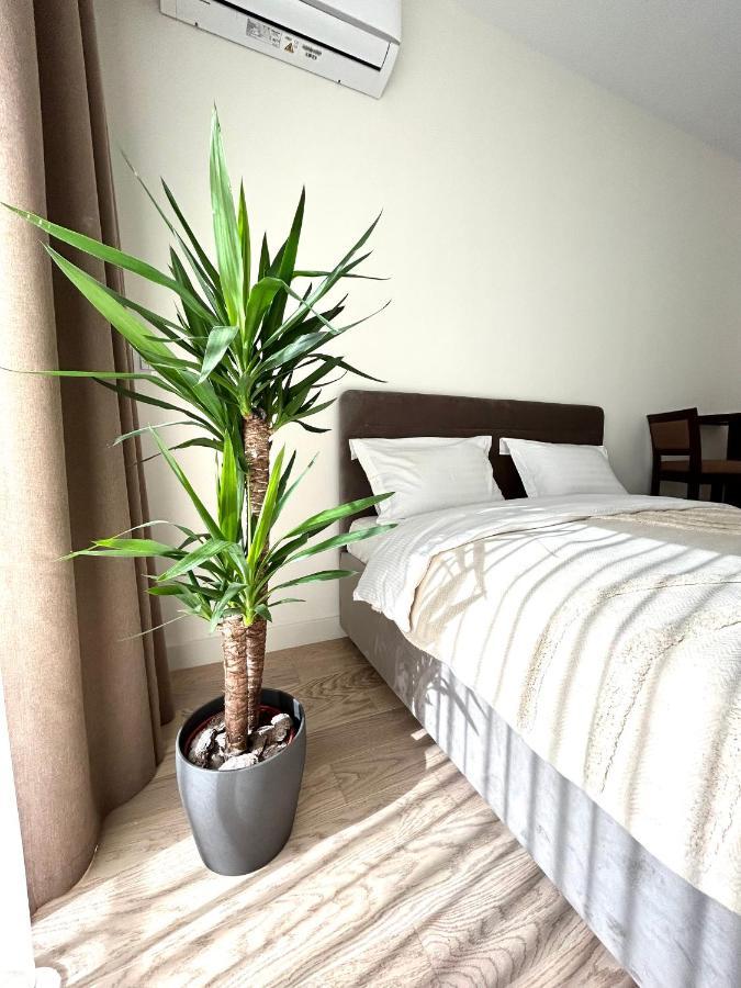 Luxury Waterfront View - BW Apartment River View Belgrad Exteriör bild